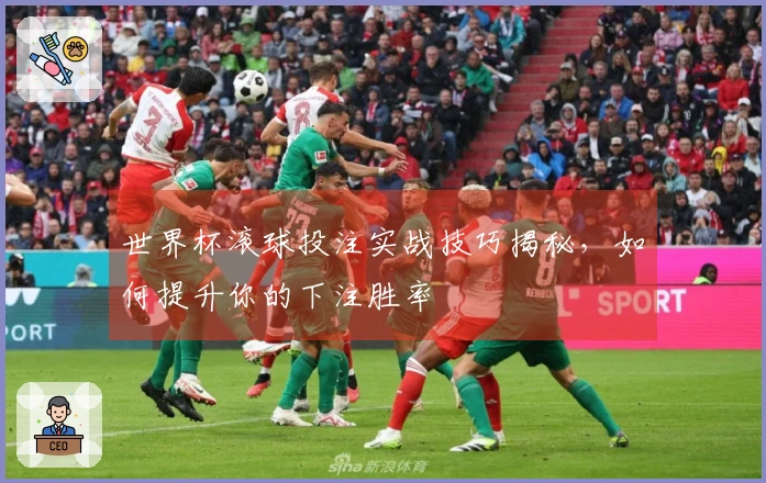 世界杯滚球投注实战技巧揭秘，如何提升你的下注胜率