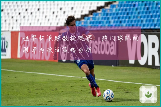 世界杯滚球数据观察：热门球队的胜率与投注策略分析