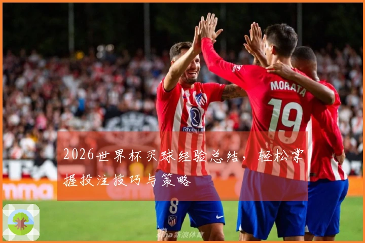 2026世界杯买球经验总结，轻松掌握投注技巧与策略