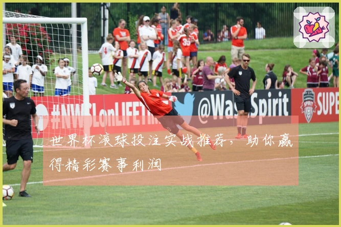 世界杯滚球投注实战推荐，助你赢得精彩赛事利润
