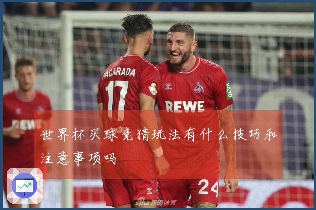 世界杯买球竞猜玩法有什么技巧和注意事项吗