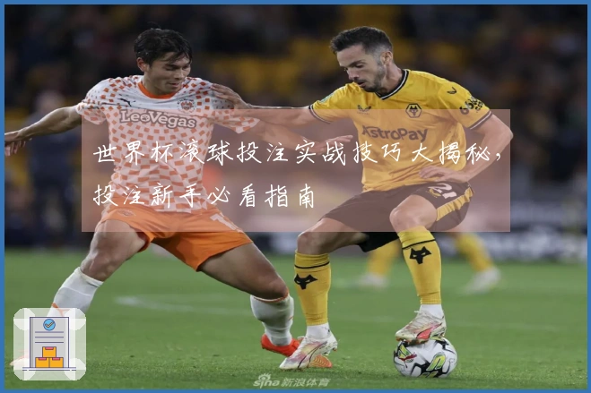世界杯滚球投注实战技巧大揭秘，投注新手必看指南