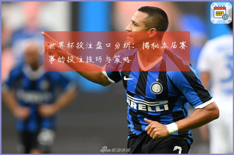 世界杯投注盘口分析：揭秘本届赛事的投注技巧与策略